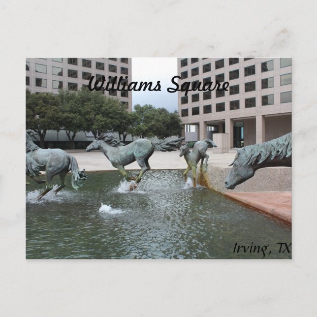 Mustangs of Las Colinas # 3 Postcard (Front)