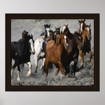 Mustangs Poster by bubbasbunkhouse at Zazzle