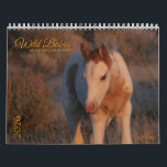 MustangWild 2026 "Wild Babies" Calendar<br><div class="desc">MustangWild 2026 12-month Calendar celebrating SE Oregon mustang foals... wild babies! Photos by Mustang Meg on fb.</div>