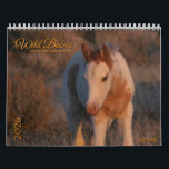 MustangWild 2026 "Wild Babies" Calendar<br><div class="desc">MustangWild 2026 12-month Calendar celebrating SE Oregon mustang foals... wild babies! Photos by Mustang Meg on fb.</div>