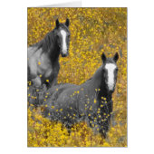 Mustard and Horses (Front)