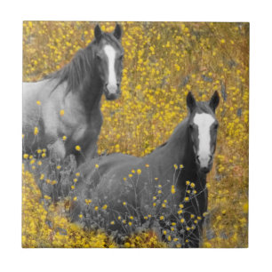 Mustard and Horses Ceramic Tile
