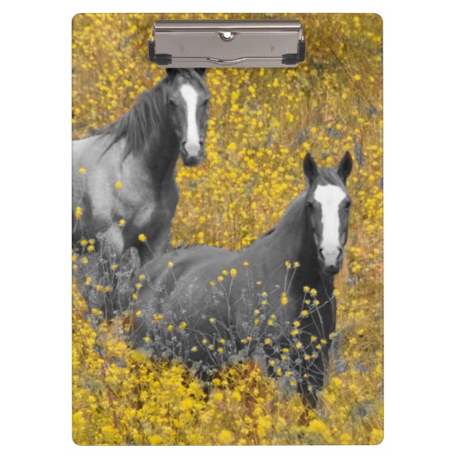 Mustard and Horses Clipboard (Front)