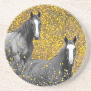 Mustard and Horses Coaster