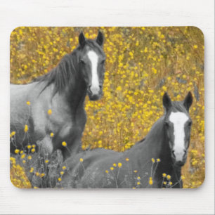 Mustard and Horses Mouse Pad