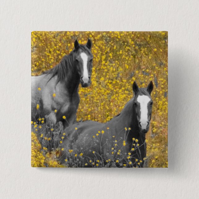Mustard and Horses Pinback Button (Front)