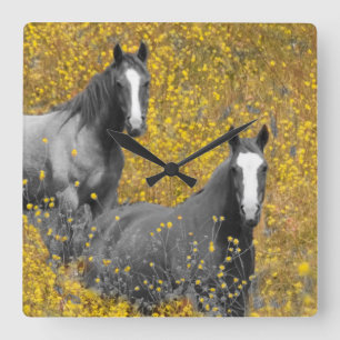 Mustard and Horses Square Wall Clock