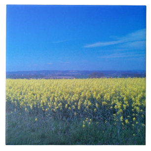 Mustard Fields Ceramic Tile 6" x 6"