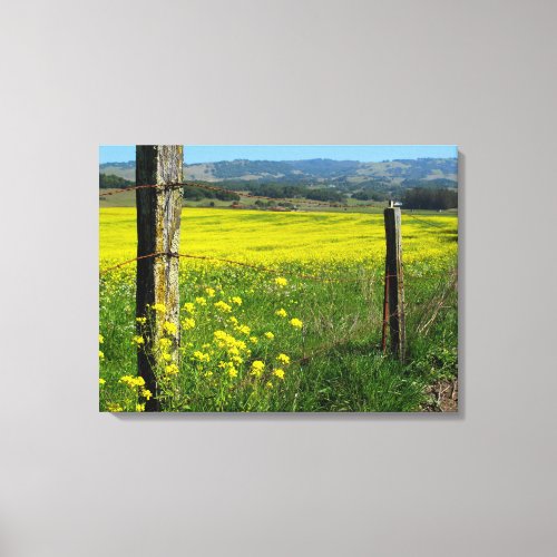 Mustard Seed Fields Yellow Wooden Fence Canvas Print