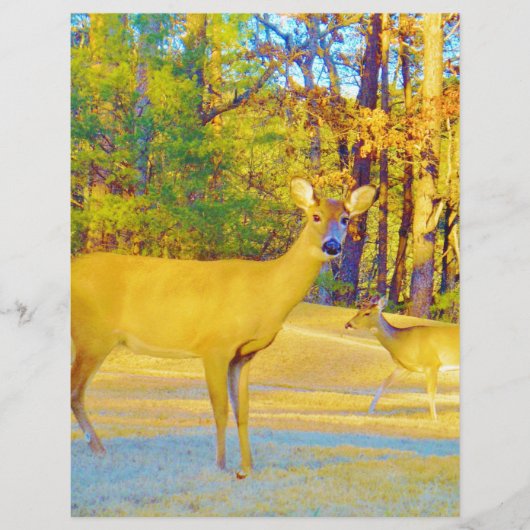 Musturd Colored Deer with light blue (Front)