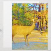 Musturd Colored Deer with light blue (Front/Back)