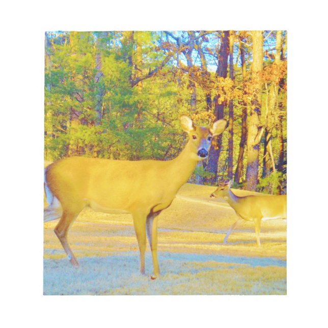 Musturd Colored Deer with light blue Notepad (Front)