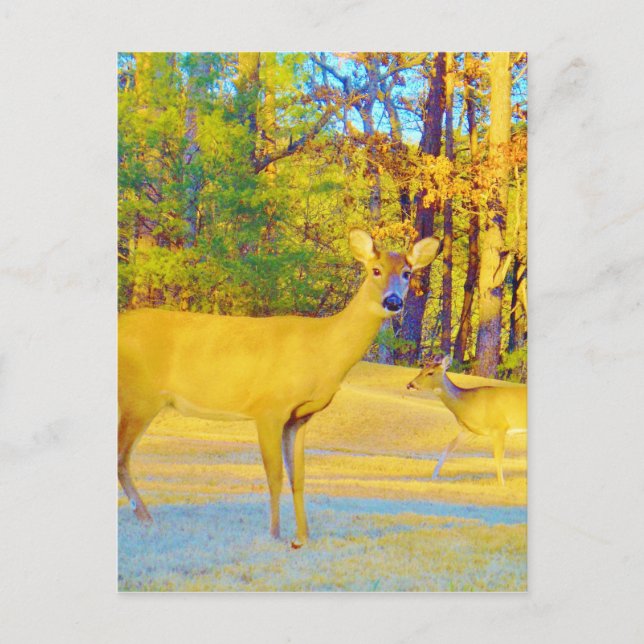 Musturd Colored Deer with light blue Postcard (Front)