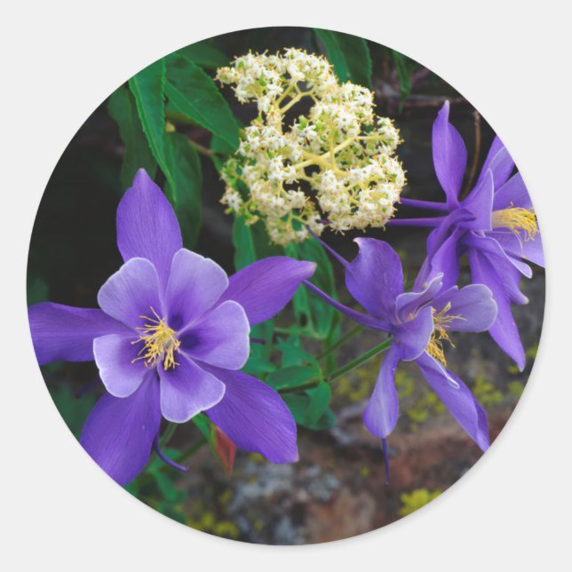 Mutant Columbine Wildflowers Classic Round Sticker (Front)