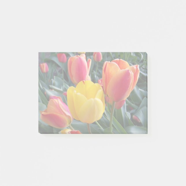 Mute Colors in Your Own Photo Post-it Notes (Front)