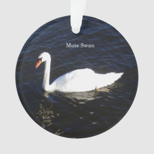 Mute Swan acrylic ornament