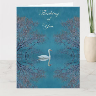 Mute Swan Card