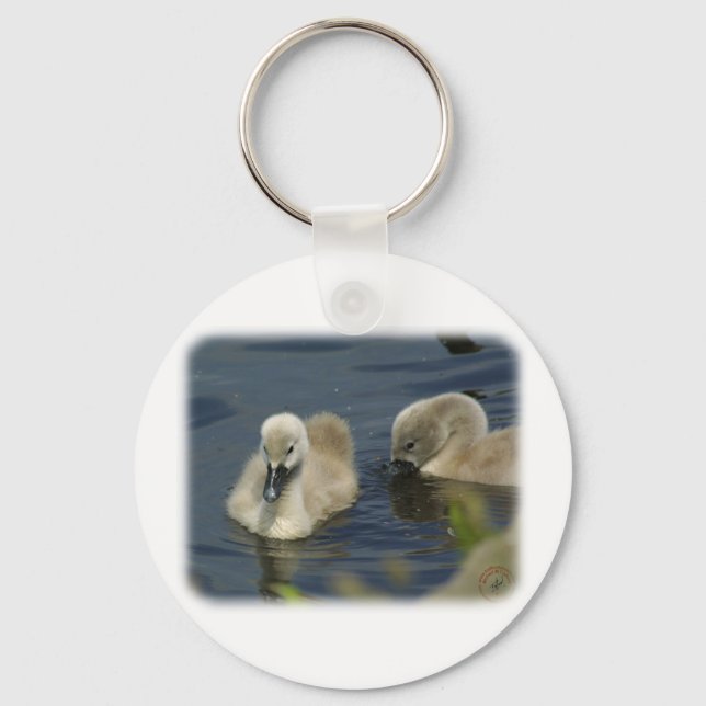 Mute Swan Cygnets 9R054D-114 Keychain (Front)