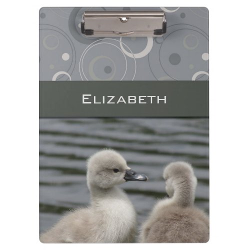 Mute Swan Cygnets and Gray Abstract Clipboard