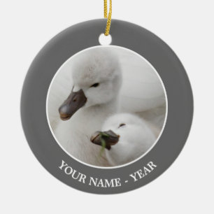 Mute Swan Cygnets Ceramic Ornament
