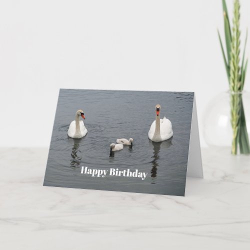 Mute Swan Cygnets Water Photo Birthday Card