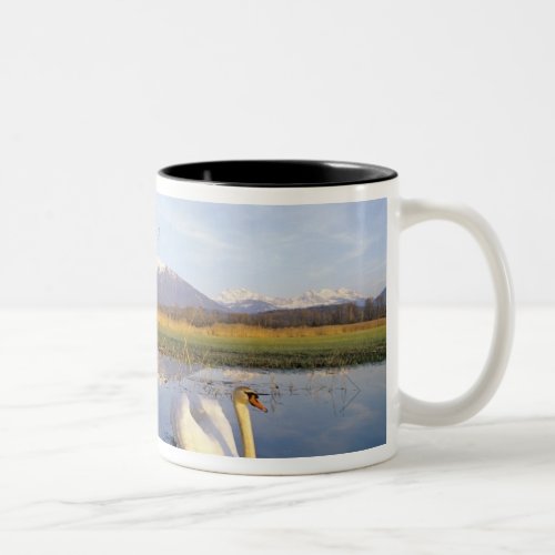 Mute Swan Cygnus oloradult with Alps in Two_Tone Coffee Mug
