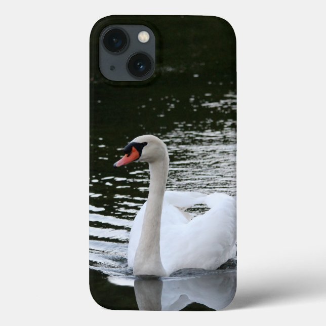 Mute Swan iPhone Cases (Back)