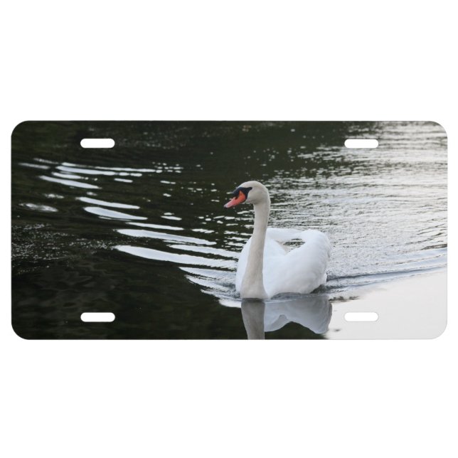 Mute Swan License Plate (Front)