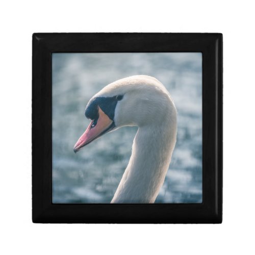 Mute Swan Nature Photograph Gift Box