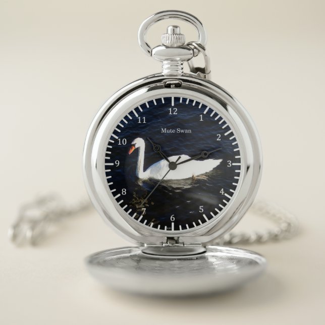 Mute Swan pocket watch (Inside)