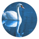 Mute Swan Stickers