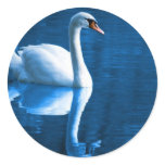 Mute Swan Stickers