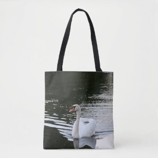 Mute Swan