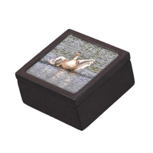 Mute Swan Wildlife Waterfowl Photo Jewelry Box