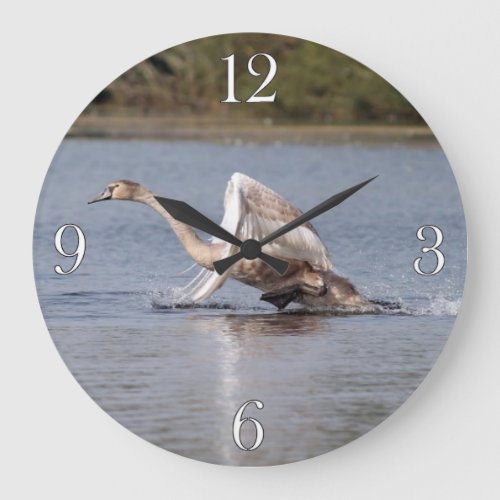 Mute Swan Wildlife Waterfowl Photo Large Clock
