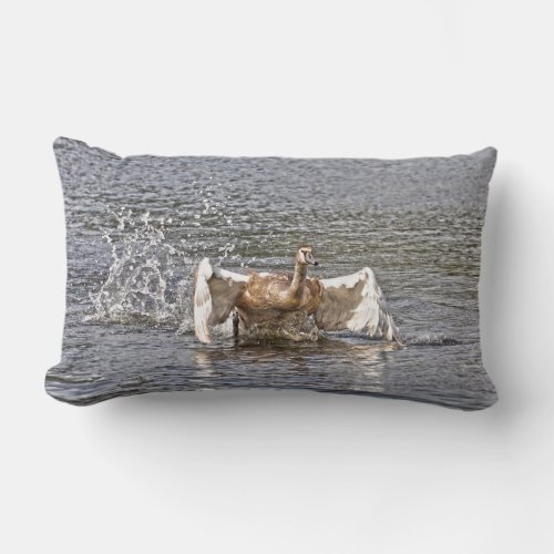 Mute Swan Wildlife Waterfowl Photo Lumbar Pillow