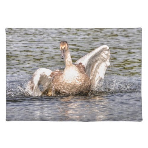 Mute Swan Wildlife Waterfowl Photo Placemat