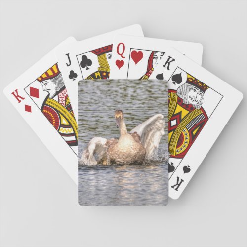 Mute Swan Wildlife Waterfowl Photo Poker Cards