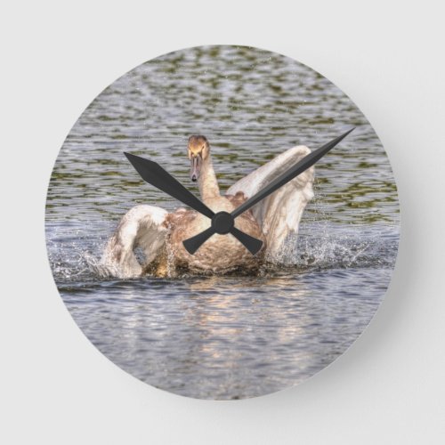 Mute Swan Wildlife Waterfowl Photo Round Clock