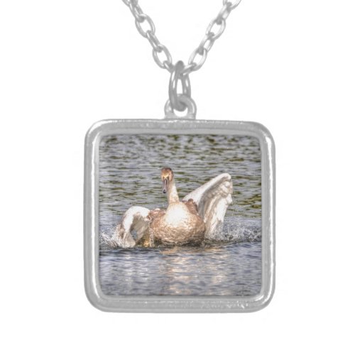 Mute Swan Wildlife Waterfowl Photo Silver Plated Necklace