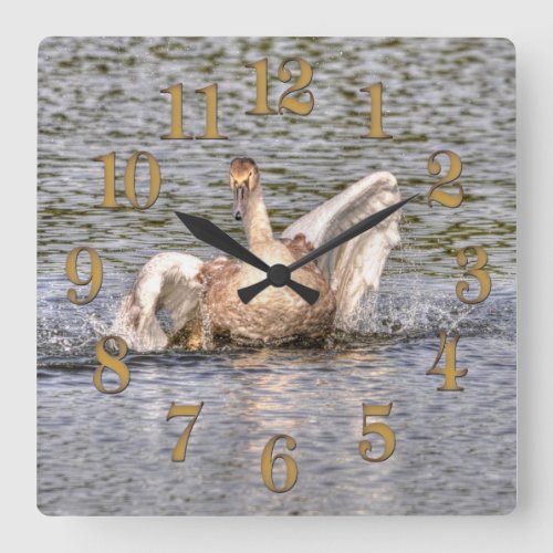 Mute Swan Wildlife Waterfowl Photo Square Wall Clock