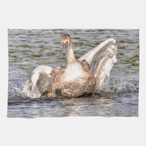 Mute Swan Wildlife Waterfowl Photo Towel