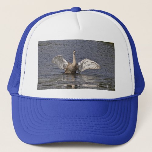 Mute Swan Wildlife Waterfowl Photo Trucker Hat
