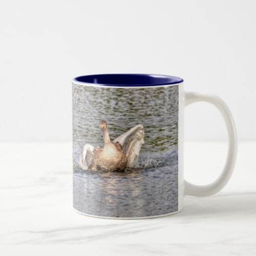 Mute Swan Wildlife Waterfowl Photo Two_Tone Coffee Mug