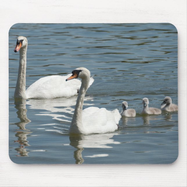 Mute Swans And Ducklings Mouse Pad (Front)