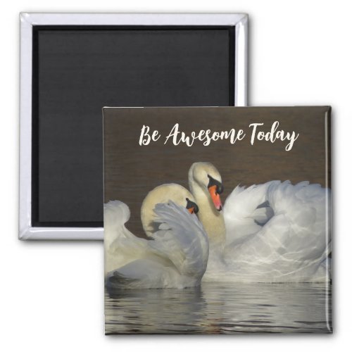 Mute Swans _ Be Awesome Today Magnet