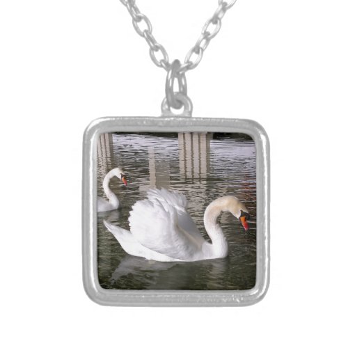 Mute swans on water silver plated necklace