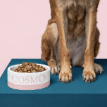 Muted Blush Pink Custom Pet Name Cat Dog Food Bowl<br><div class="desc">Add your cat, dog, or pet's name to this simple cute, minimal, and modern food bowl with a soft muted blush pink rose gold stripe at the bottom. Any color or font can be changed by clicking "customize further" to design your own pet bowl. Coordinating items in the Paper Grape...</div>