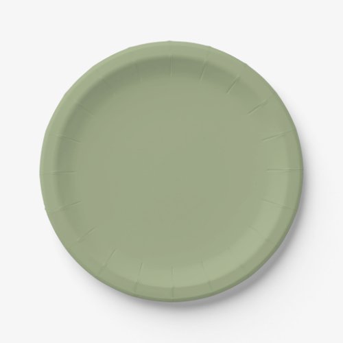 Muted Elegance _ Tranquil Sage Paper Plates