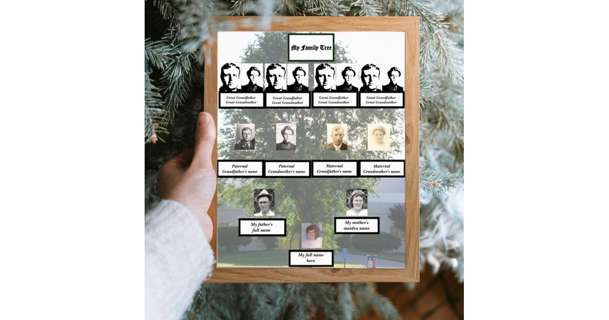 Muted Generation Muted Four-Generation Summertime Family Tree Photo Poster | Zazzle